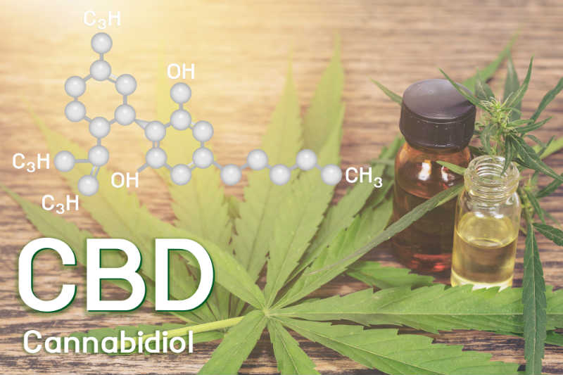 Beginners Guide to Everything CBD