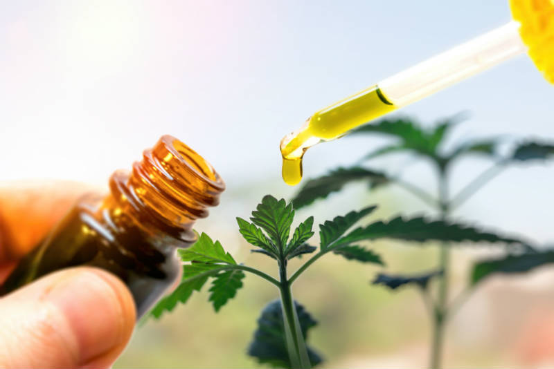 best ways to mask cbd oil taste