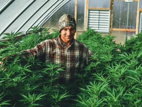 booming demand for cbd is leaving us farmers struggling
