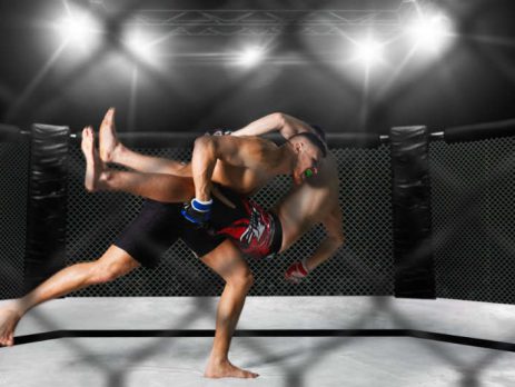 cbd contact sports mma fighters using cbd as part of their fitness regime