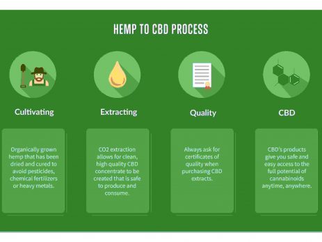 cbd extract what it is and where to get it scaled