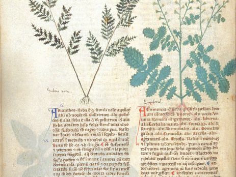 history of medicine and hemp