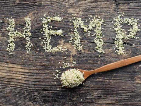 is hemp the future of sustainable living