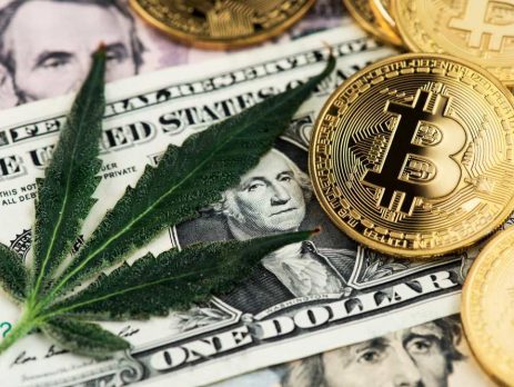 money is green the cannabis industry boom