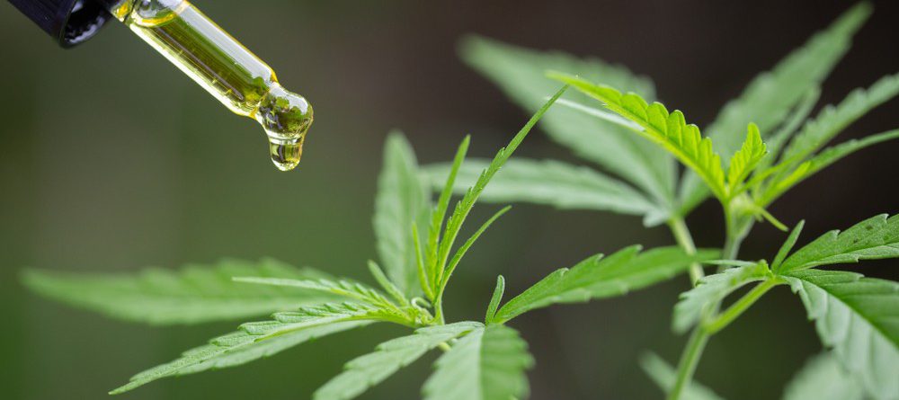 natural cbd oil how to spot the difference