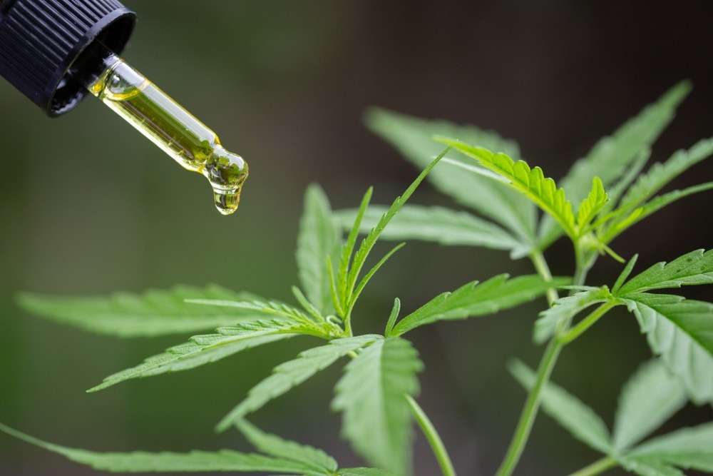 CBD oil and cannabis leaves