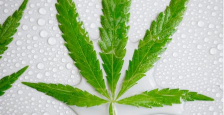 water soluble cbd what you need to know