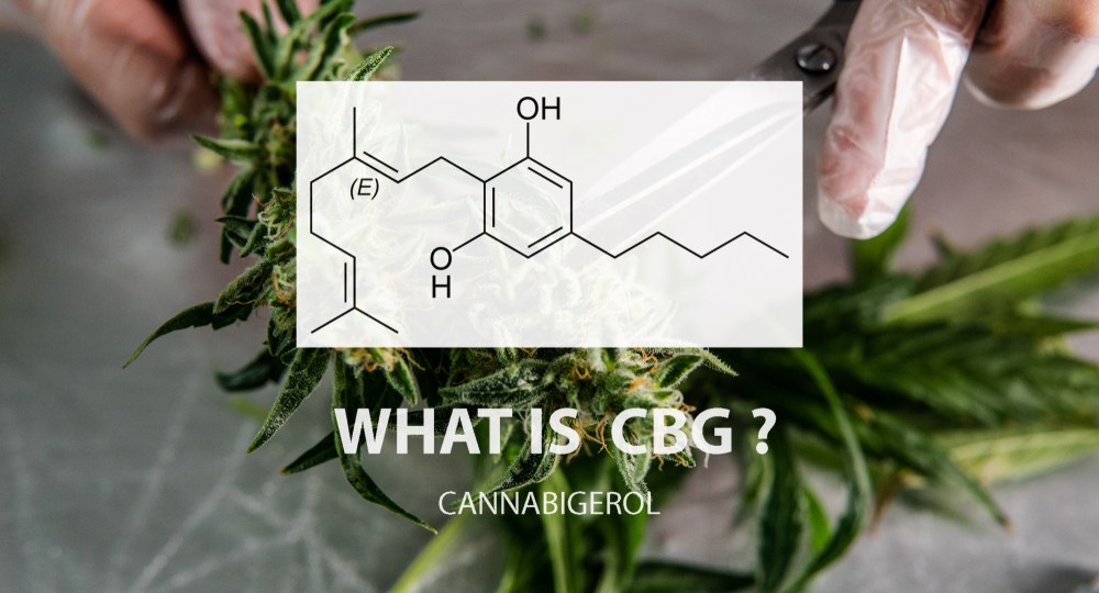 what is cbg cannabigerol
